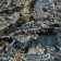 Ткань Vestale Deep Ornament Green Lake