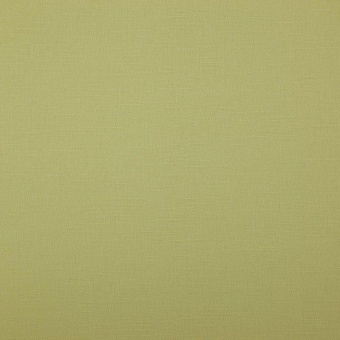 Ткань Elegancia Canvas Bonfire Linden