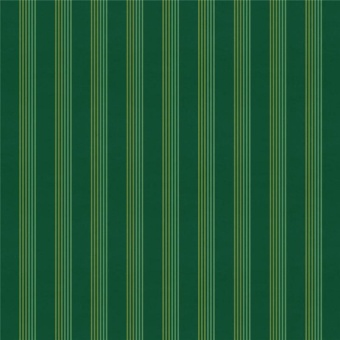 Ткань Vestale Heritage Rhythm Young Green