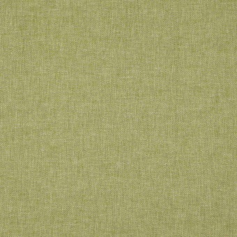Ткань Elegancia Parfait Moss