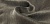 Тюль Houles Isae 72702-9990