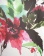 Тюль Windeco 5768/1935 PAINTS SHIFFON V-1