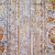 Ткань Dom Caro Gardens Palladio Basilica 42-ochre
