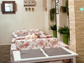 Ткань Realia Jardin Amelie col.4